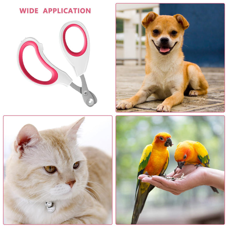 FIBOUND 2 pieces claw care cutters, claw scissors, cats, stainless steel claw scissors, claw cutters, cat nail clippers for small dogs, puppies, cats, rabbits, small animals (rose red) - PawsPlanet Australia