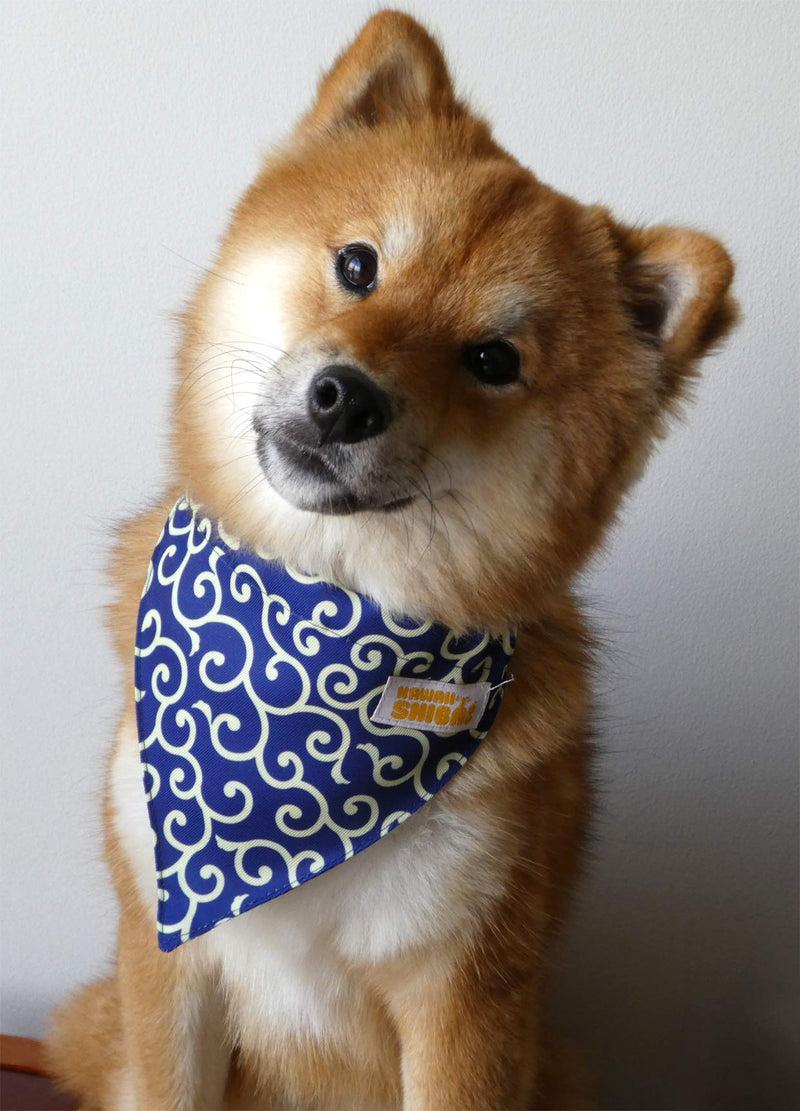 [Australia] - Kawaii Shiba Co. Karakusa Japanese Shiba Inu Dog Bandana with Adjustable Collar blue 