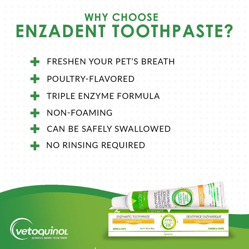 Vetoquinol Enzadent Enzymatic Toothpaste for Cats & Dogs – 3.2 oz, 3.17 Ounce (Pack of 1) - PawsPlanet Australia