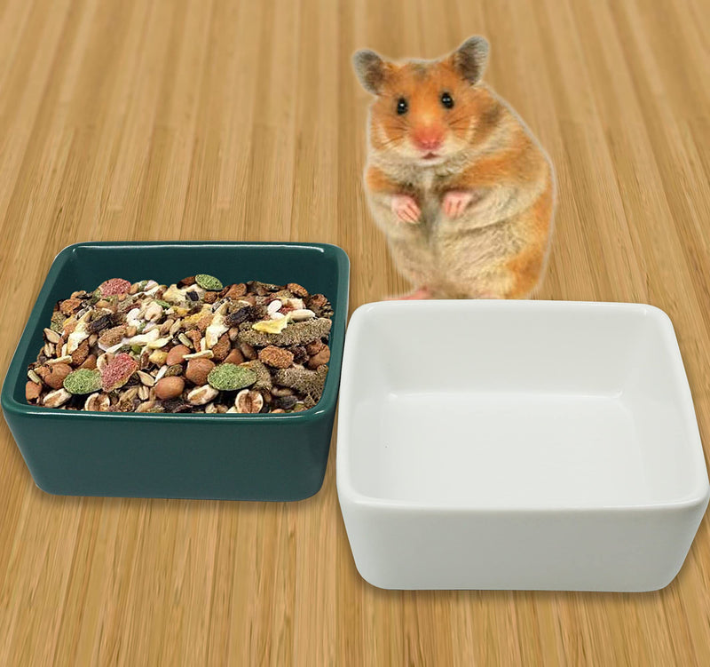 KUAO 2-Piece Set Hamster Feeding Bowl Square Ceramic White and Green Small Animal Dishes Food and Water Bowl with a Bamboo Shelf for Hamsters Guinea Pig Gerbil Hedgehog Rabbit and Little Cat - PawsPlanet Australia