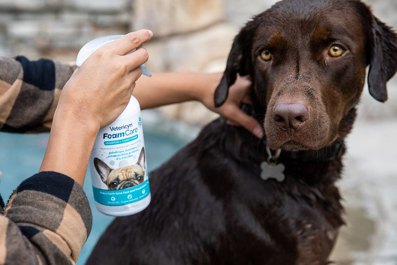 Vetericyn All-in Adult Complete Dog Supplement and FoamCare Spray-On Plant-Based Dog Shampoo and Conditioner. - PawsPlanet Australia