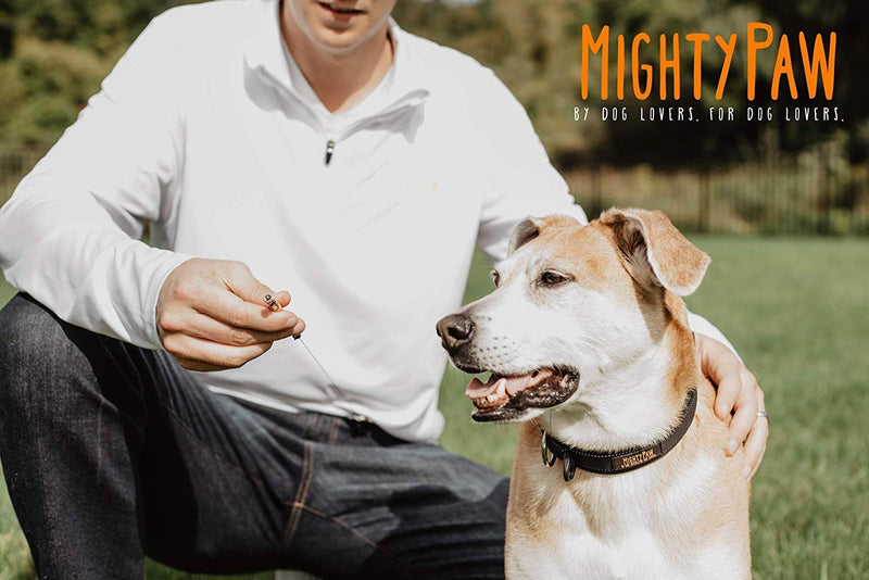 Mighty Paw Training Whistle, Silent Dog Whistle with Retractable Belt Attachment and Neck Lanyard, No Bark Dog Training Tool for Obedience and Recall Orange - PawsPlanet Australia