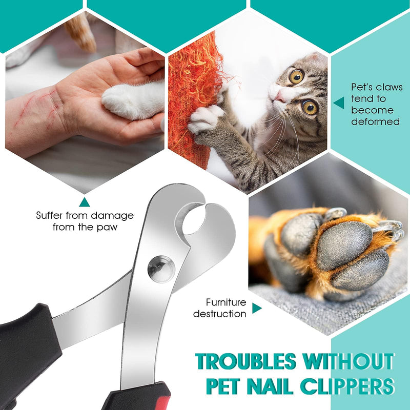 Claw scissors for cats, 2 pieces professional claw scissors, professional cat nail clippers, safety claw pliers for small animals, pets, dogs, guinea pigs - PawsPlanet Australia