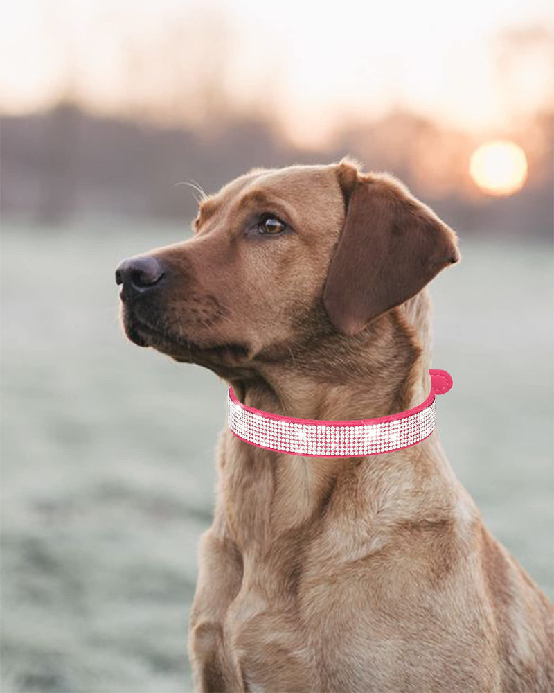 Petank Dog Collar for Small Medium Large Dogs，Small Dog Collar for Female Dogs, Bling Girl Dog Collars, Pink Dog Collar, Rhinestone Puppy Collars (S, Light Blue) S - PawsPlanet Australia