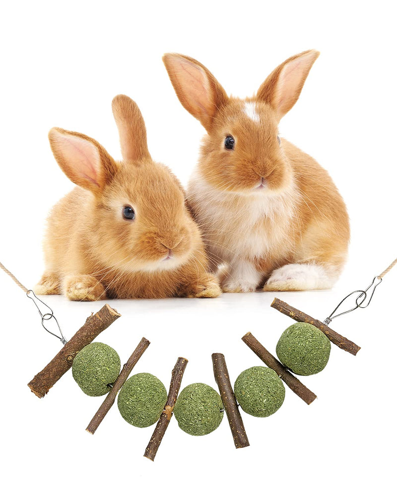 Woiworco 3 Pieces Bunny Rabbit Chew Toys, Natural Handmade Organic Wood Apple Sticks and Timothy Hay Balls, Improve Pets Dental Health for Rabbit, Guinea Pigs, Hamsters - PawsPlanet Australia