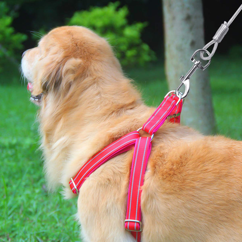 NATUCE 16.4ft (5M) Tie Out Cables for Dogs, Yard Leash for Dogs, Tie-Out Leashes for Dogs, Pet Tie Out Cables, Outdoor Camping Picnic Strong Pet Safety Rope (Red) - PawsPlanet Australia