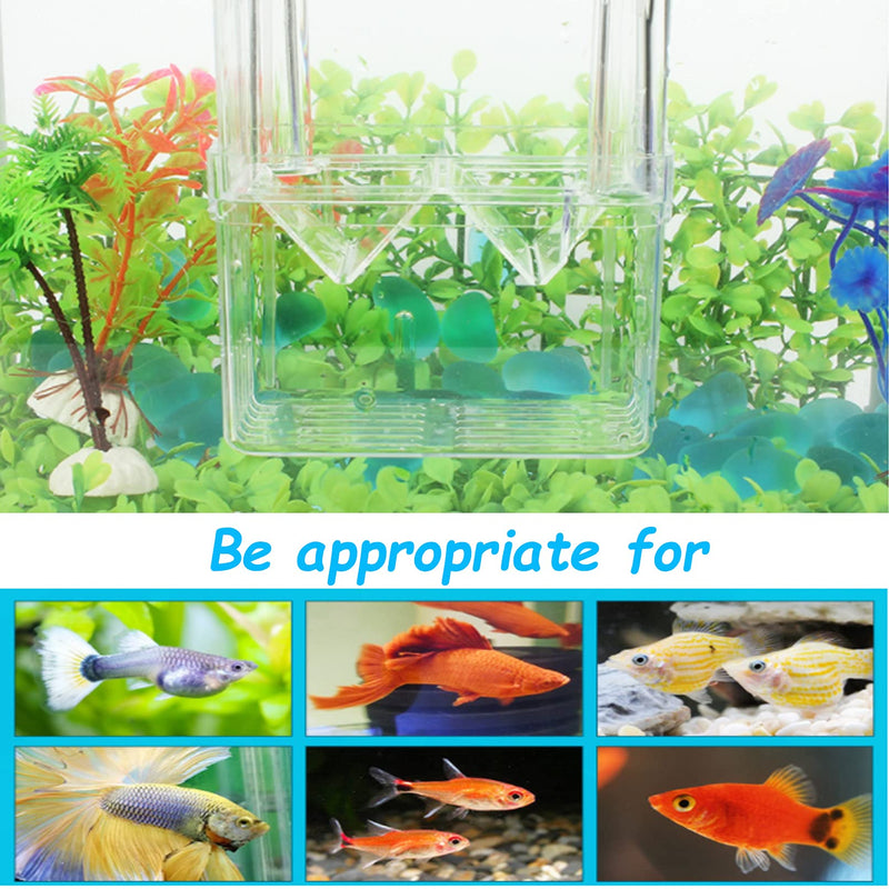 Hamiledyi Fish Breeding Box Aquarium Tank Incubator Acrylic Transparent Breeder Box Baby Fish Hatchery Artificial Plant Decorate for Shrimp Clownfish Guppy Molly Small Fishes (3Pcs) - PawsPlanet Australia