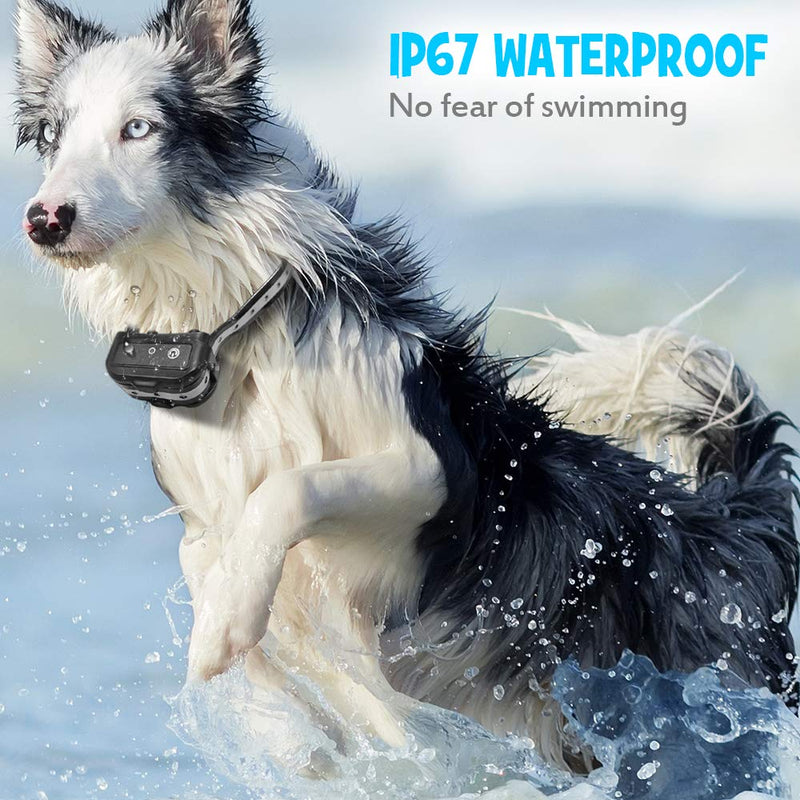 [Australia] - PetInn Rechargeable Training Collar for Dog - IP67 Waterproof with 3 Training Modes (Beep, Vibration and Shock), Separated Button Remote Control Adjustable Collar Strap for All Dogs 