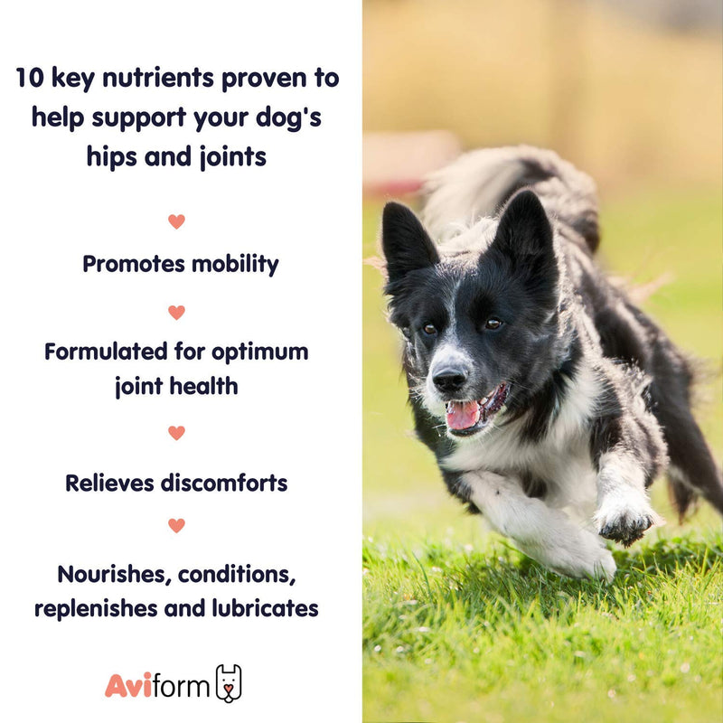 Aviform Flexus 10 Hip & Joint Supplement for dogs - Packed with 10 Key Ingredients - Glucosamine, MSM and Chondroitin to Improve Mobility and Joint Health - Capsules or Powder 255 g (Pack of 1) - PawsPlanet Australia