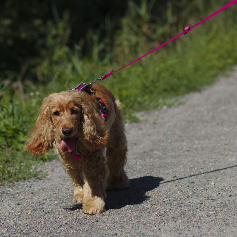 Reflective Dog Lead Dog Leash, Adjustable Design, Functional and Extremely Durable Dog Training Lead - Pink, Dog Running Leash (220cm) - PawsPlanet Australia