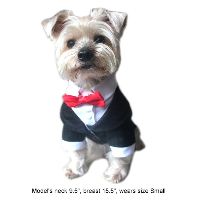 Alfie Pet - Oscar Formal Tuxedo with Black Tie and Red Bow Tie XS - PawsPlanet Australia