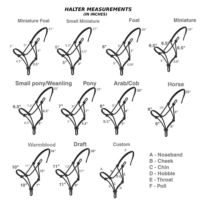 Natural Horsemanship Rope Halters Headcollars For Parelli Training in 11 Sizes - Miniature, Foal, Shetland, Weanling, Pony, Cob, Arab, Full Horse, Extra Full & Draft/Draught 01. Miniature Foal White - PawsPlanet Australia