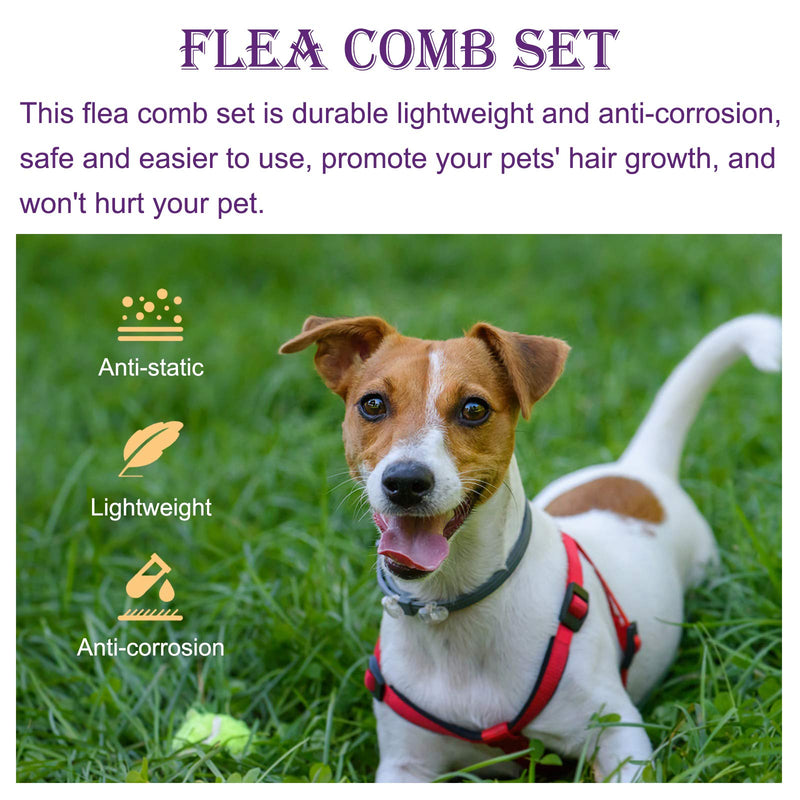 Acehome 3 Pcs Fleas Comb Tear Stain Remover Comb set, Stainless Steel Tears Mark Tick Removal Tool with Handle Pet Grooming Combs set for Removing Eye Mucus Fleas Lice Mites, Dandruff & Crust - PawsPlanet Australia