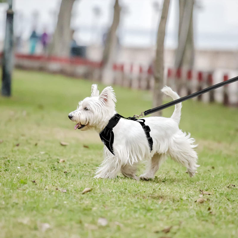 PUPTECK Breathable Dog Harness and Leash Set - Walking Escape Proof Mesh Vest Harness, Easily Fixed Buckle, Soft Webbing and Ergonomic Handle for Small Medium Puppies Black - PawsPlanet Australia