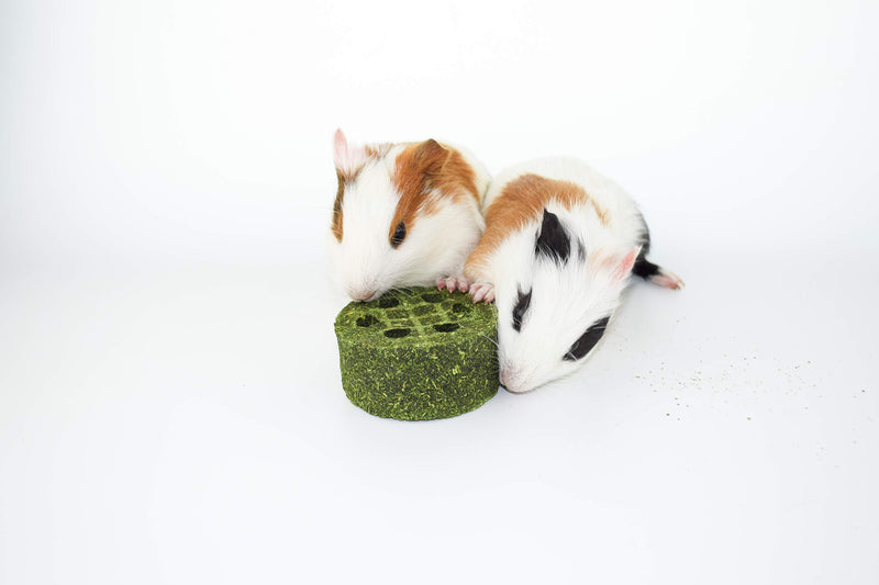 DMUUGURL Natural Timothy Grass Molar Stick Chew Toys, Alfalfa Grass Hay Grass Cakes for Rabbits, Chinchillas, Guinea Pigs, Hamsters, Squirrel and Other Small Animals Treats - PawsPlanet Australia