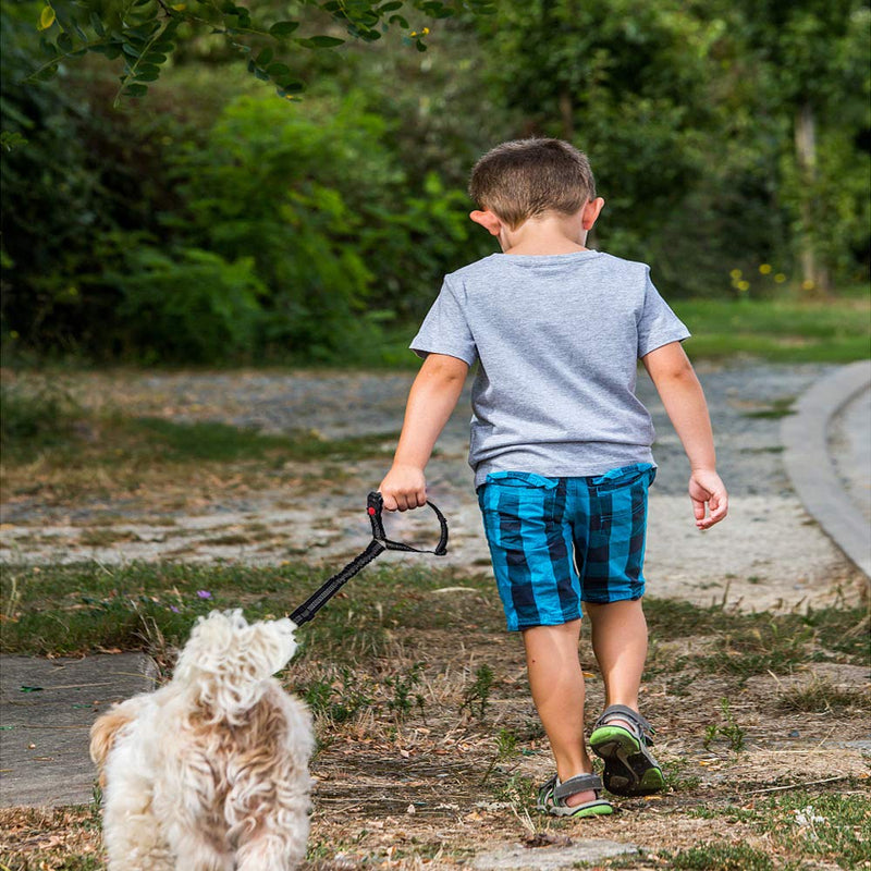 WDEC Dog Seat Belt, Adjustable, with Elastic Bungee Buffer and Reflective Stripe Line, Can Be Connected with Dog Harness, Dog Car Seat Belt Restraint, Used in Daily Travel (rose Red) rose Red - PawsPlanet Australia