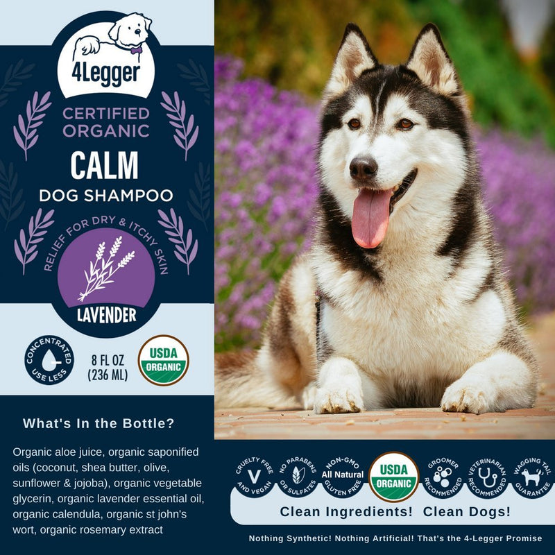 [Australia] - 4Legger Calm All Natural Lavender Dog Shampoo - USDA Certified Organic Dog Shampoo with Shea Butter for Dry Itchy Skin - Calming and Hypoallergenic for Sensitive Skin - Concentrated - USA - 8 oz 