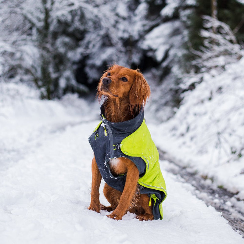 [Australia] - Outward Hound Telluride All Weather Thinsulate Warm Two Layered Coat for Dogs MD 