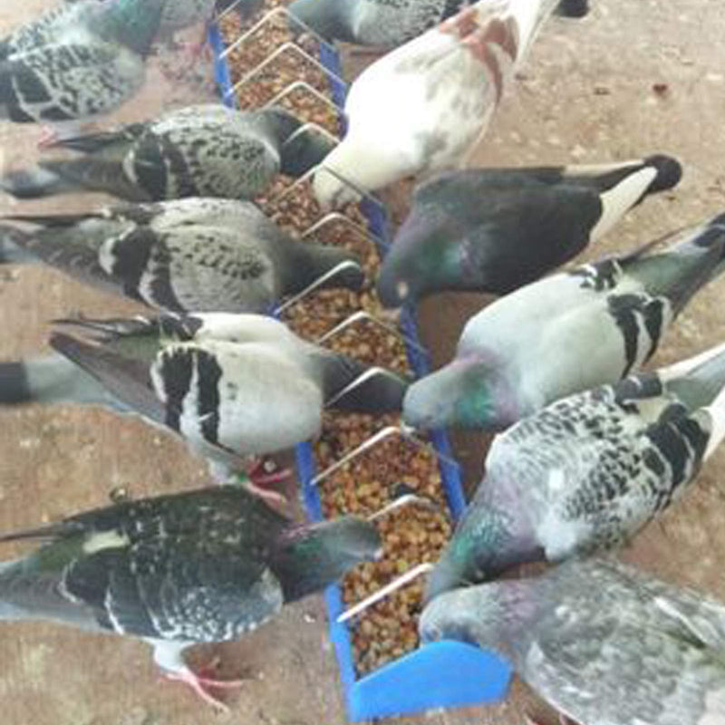 Pigeon Feeder 2pc Feeding Birds Chicken Feeder Parrots Feeder Bowl Bird Feeder for Poultry 40cm 16in/40cm - PawsPlanet Australia