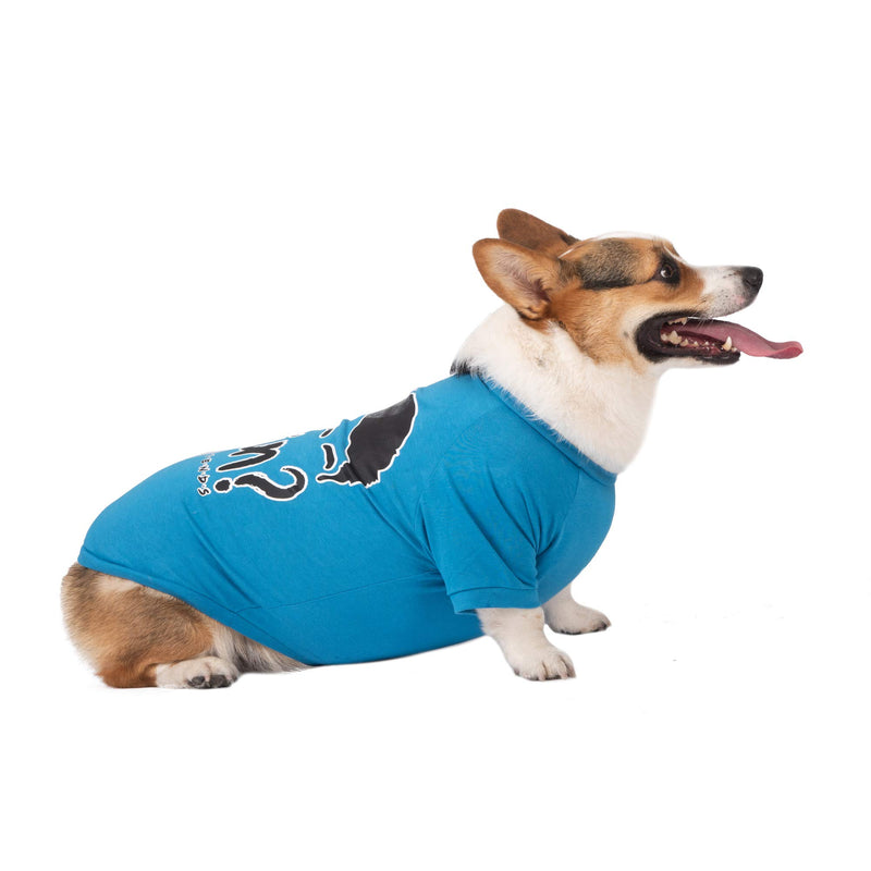 [Australia] - Warner Bros Friends TV Show "How You Doin" Dog T Shirt in Blue | Soft and Comfortable Dog Shirt, Machine Washable Pull-Over Dog Tshirts Available in Multiple Sizes | Light Weight & Semi-Stretch Medium 