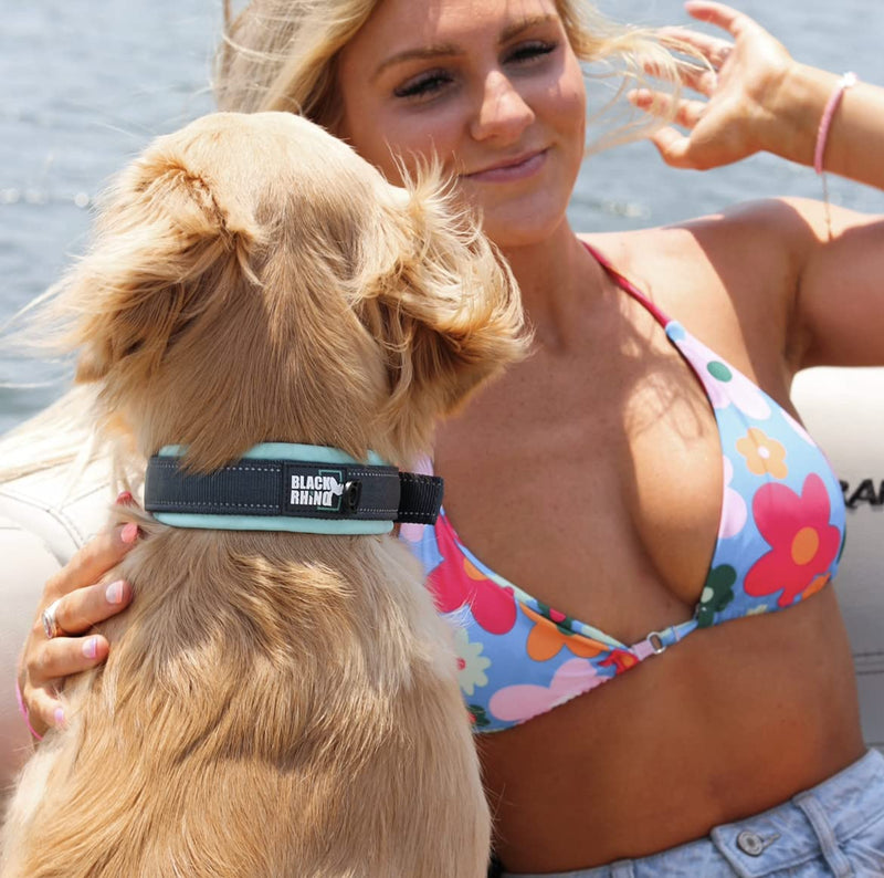 Black Rhino - The Comfort Collar Ultra Soft Neoprene Padded Dog Collar for All Breeds - Heavy Duty Adjustable Reflective Weatherproof (Small, Aqua/Grey) Small - PawsPlanet Australia