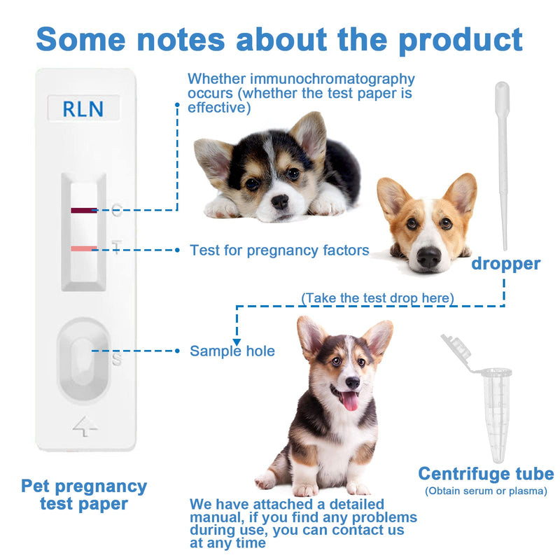 HHUK Pet Dog Pregnancy Test Paper,Canine RLN Early Pregnancy Test Kit, Simple Operation for Early Pregnancy Detection Yourself at Home,One-time Use Pet Pregnancy Test Complete Tool Kit (1PCS) - PawsPlanet Australia