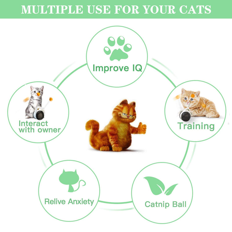 [Australia] - WOSTEE Cat Toys Kitten Toys for Indoor Cats, Interactive Catnip Toys with 180 Degree Self Rotating Ball Toy, Balance Swing Toy for Cat Kitty Exercise Chasing Puzzle Toys 