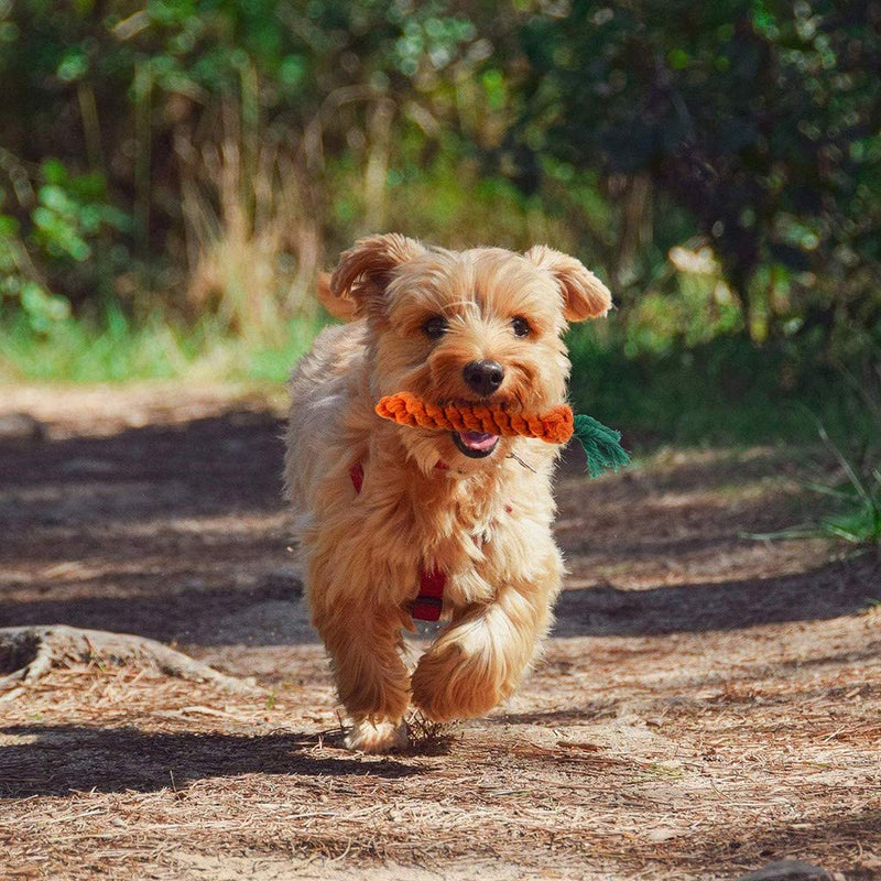 ZPP Dog Chew Toys Carrot Rope, Puppy Teething Chewing Safe Durable Braided Pet Medium Large Cat Cotton Knot Paws Fun Molar for Clean Teeth Healthy Handmade Gift - PawsPlanet Australia