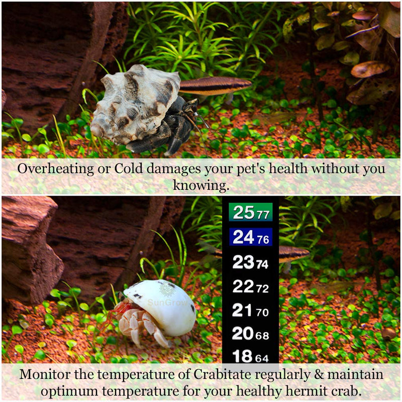 [Australia] - Stick-on Thermometer for Shrimps & Hermit Crabs - Provides Accurate Temperature - Assists in Breeding and Keeping Pets Healthy - Easy Set up - Just Peel and Stick to Install (Crab - Hermits) 