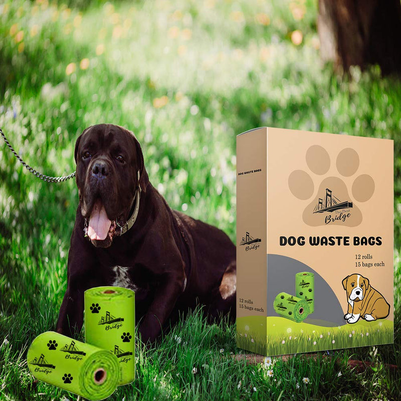 [Australia] - Dog Poop Bags Biodegradable,Extra Thick, GUARANTEED Leak-Proof Pet Waste Bags, Large Size 9 x 13 Inch, 12 Rolls/180 Bags, Lavender-Scented,Enhanced Eco-Friendly, Easy Tear-off, Earth Friendly. 