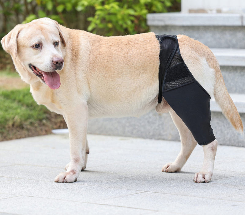 Komate Pet Dog Leg Support Brace Canine Front Back Hind Leg Wrap Elbow Brace Protector Dog Knee Hock Joint Leg Sleeve Recovery Sleeve Protection Loss of Stability Arthritis Relieve Pain Black (XS) XS - PawsPlanet Australia