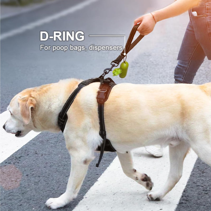 Mezrkuwr® Strong Short Dog Leash, Heavy Duty Dog Traffic Leash, Dog Training Control Leash, Reflective Leashes for Medium and Large Dogs - PawsPlanet Australia