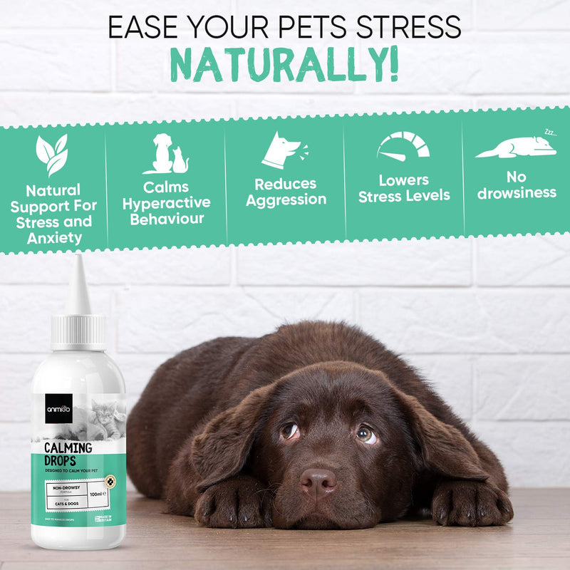 Animigo Calm Supplement For Dogs & Cats - 100ml Calmer Drops - Natural Calm Aid For Travel Sickness, Stress, Barking & Treating Separation Anxiety In Dogs & Cats - Cat & Dog Stress Relief Remedy - PawsPlanet Australia