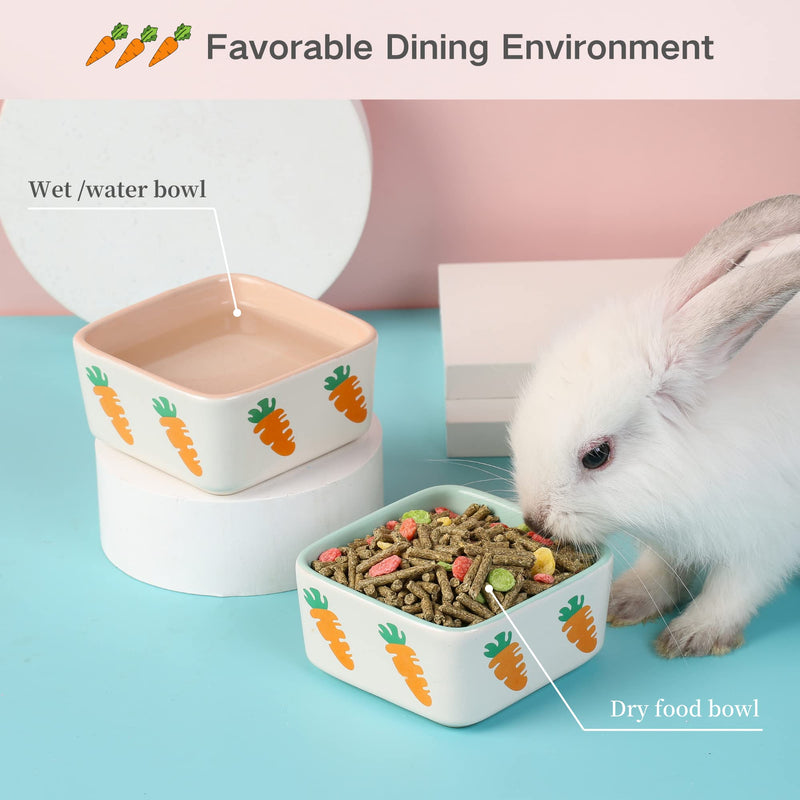 JanYoo Rabbit Food Bowl Guinea Pig Feeder Ceramic for Cage with Water Bowls Supplies and Accessories for Bunny A-Blue+Pink - PawsPlanet Australia