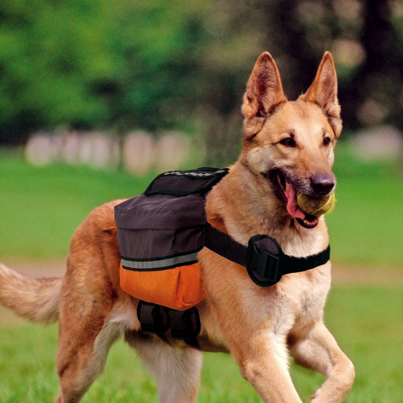 Ferplast Dog Scout Dog Bag, 30 x 6 x 25 cm - PawsPlanet Australia