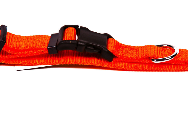 [Australia] - GoGo Pet Products Comfy Nylon 3/8-Inch Adjustable Pet Collar, X-Small, Orange 