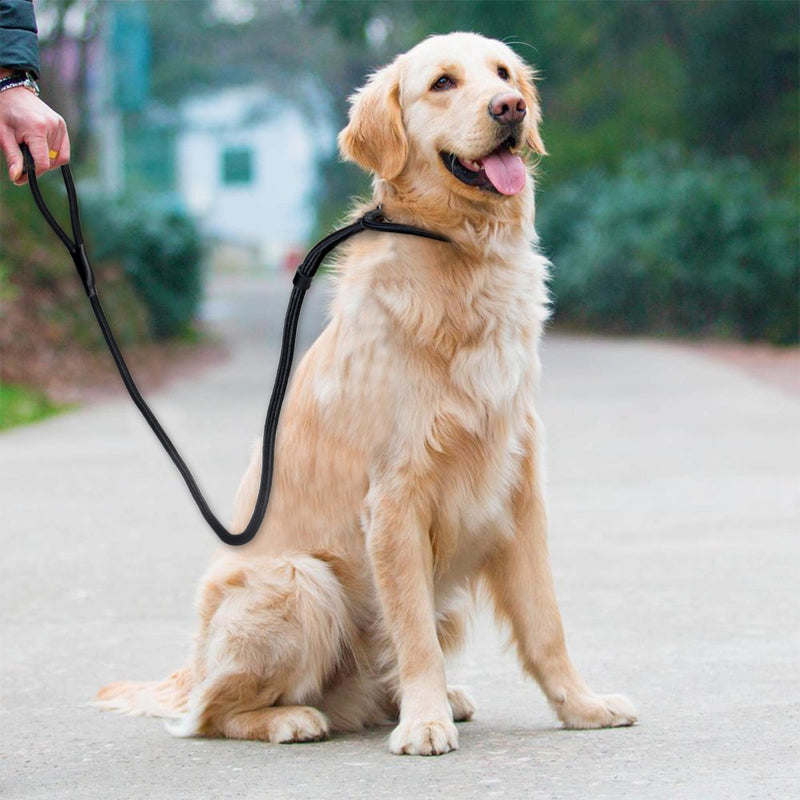 UEETEK Durable Pet Dog Nylon Adjustable Loop Training Leash Slip Lead Traction Rope 1.5m (Black) - PawsPlanet Australia