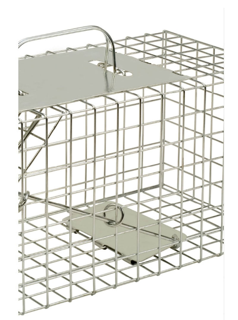 Defenders STV076 Animal Trap (Humane Cage Trap for Squirrels and Small Wildlife, Indoor and Outdoor Use), Clear - PawsPlanet Australia