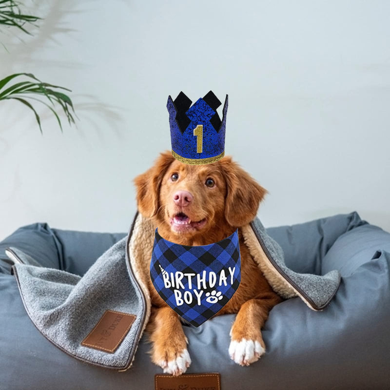 Dog Birthday Party Supplies- Reusable Dog Birthday Hat and Bandana with Numbers, Blue Crown Party Hat BIRTHDAY BOY Scarf Set, Pet Outfits Accessories Party Decoration for for Small Medium Dogs Cats Blue Crown Hat+BIRTHDAY BOY Bandana - PawsPlanet Australia