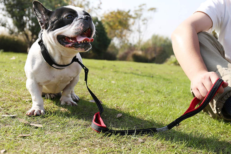 Vivaglory Dog Lead with 2 Padded Handles, Heavy Duty 4ft Long Reflective Safety Training Traffic Handle Lead Walking Leash for Small to Medium Dogs, Black 1.2 m x 1.4 cm - PawsPlanet Australia