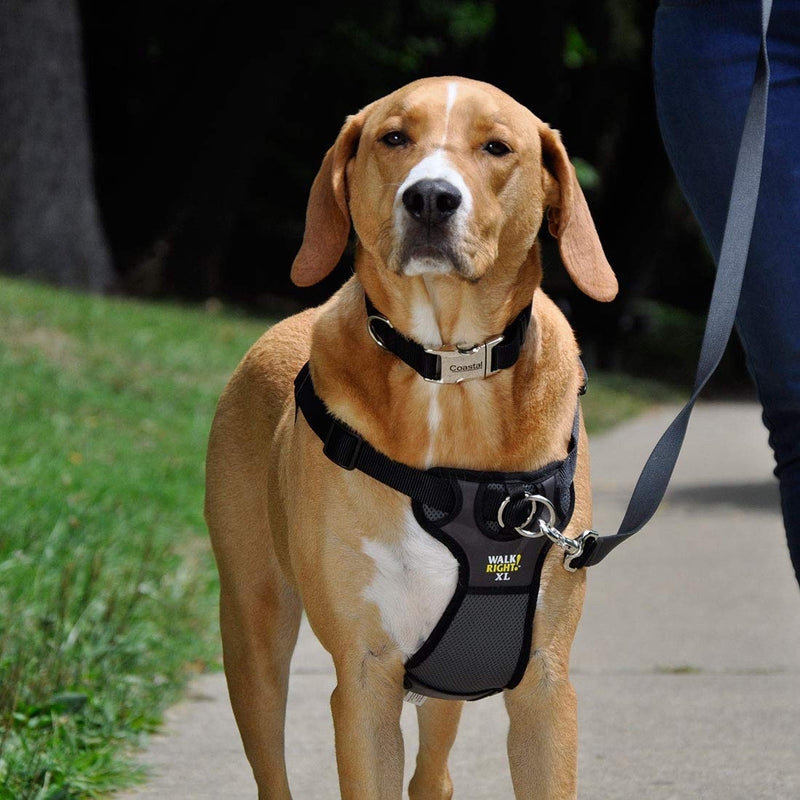 [Australia] - Coastal Pet Harness SML (16"-24") Black 