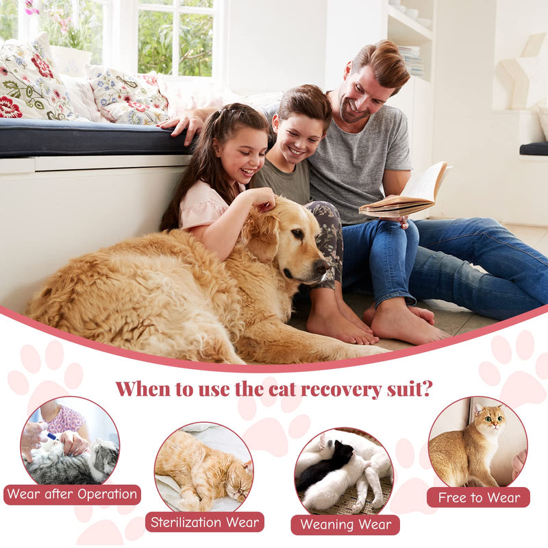 URROMA 1 PC Cat Recovery Suit Cat Wound Surgery E-Collar Alternative for Cats Dogs Post Surgery for Cats Pets S - PawsPlanet Australia