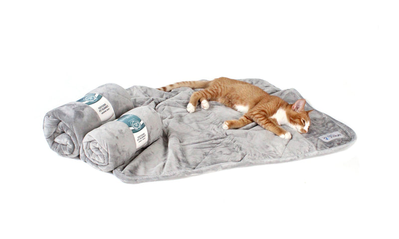 PetFusion Premium Plus Quilted Pet Blanket Blanket, Multiple Sizes for Dogs & Cats. Small (31 x 27") Grey - PawsPlanet Australia