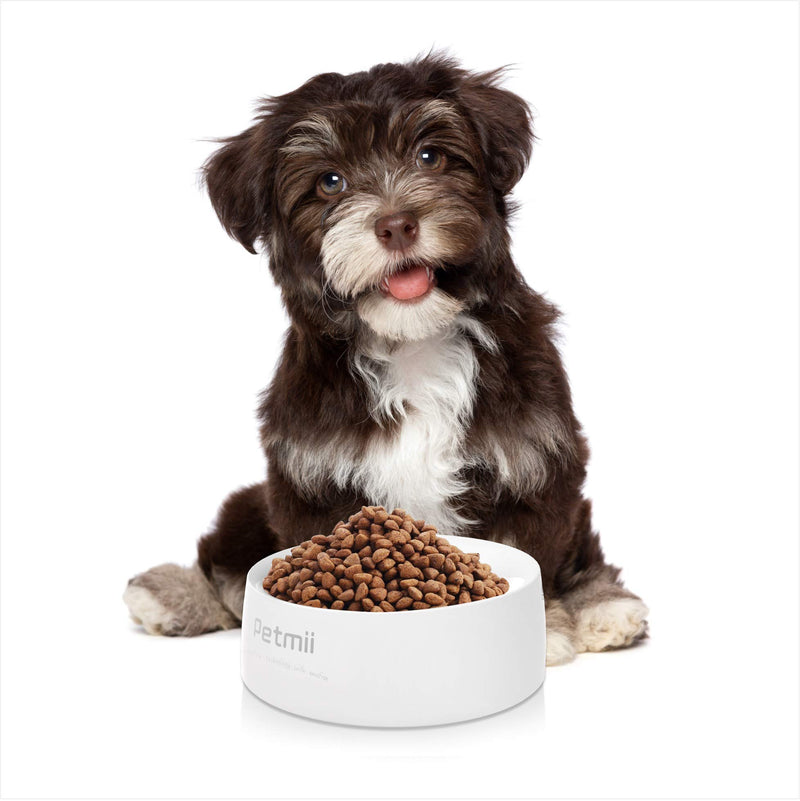 [Australia] - Petmii Smart Digital Feeding Pet Bowl, Food Measuring Washable for Dog Cat Food Bowl feeding bowl with digital scale 