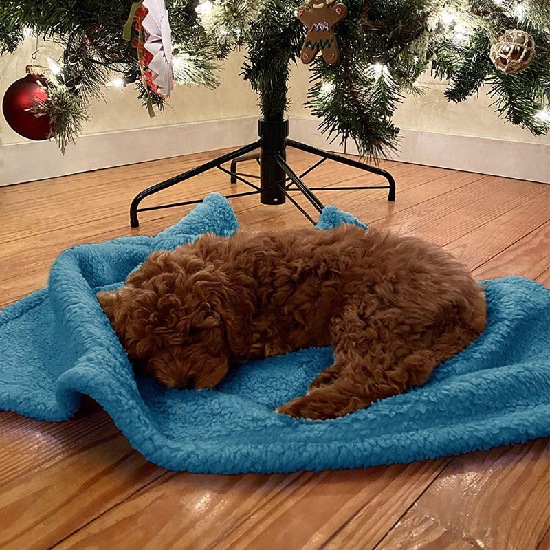 Comsmart Dog Blanket, Pet Puppy Blanket Shu Velveteen Fluffy Soft Throw Blanket Kitten Mat Pad Bed Cover for Dogs, Cats, Animals -23.6 x 31.5 inches 23.6 x 31.5 inches Blue - PawsPlanet Australia