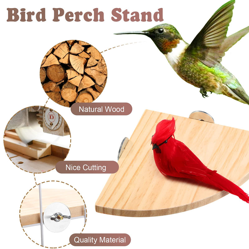 Sumind 2 Pieces Bird Stand Platform Bird Cage Platform Bird Perch Platform Fan-Shaped Wood Perch for Small Animals Bird Finches Hamster Parrot Gerbil Lovebird Parakeet Cage Accessories - PawsPlanet Australia