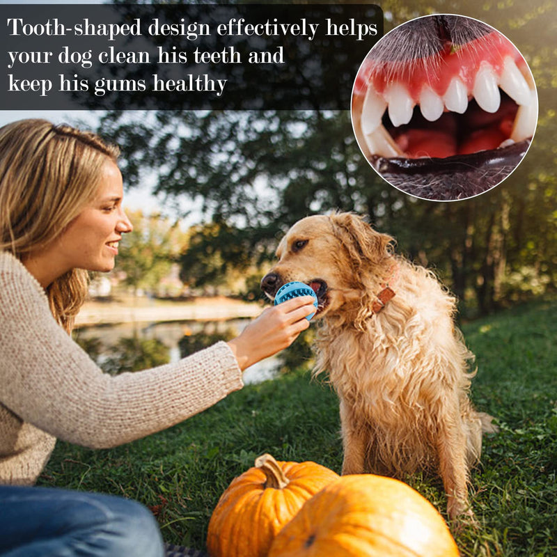 ZDNT 2 pieces dog toy ball, dog ball with dental care, natural rubber dental care ball, puppy intelligence ball, small dog ball, chew toy dog ball for small dogs for teeth cleaning, chewing, training - PawsPlanet Australia