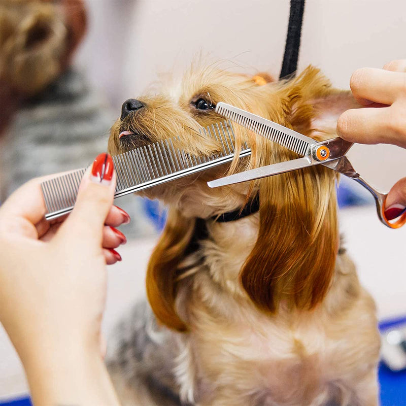 Flea comb for cats and dogs, stain remover comb, flea comb for cats and dogs, double-sided dog eye care comb, double head care comb, multi-purpose tool - PawsPlanet Australia
