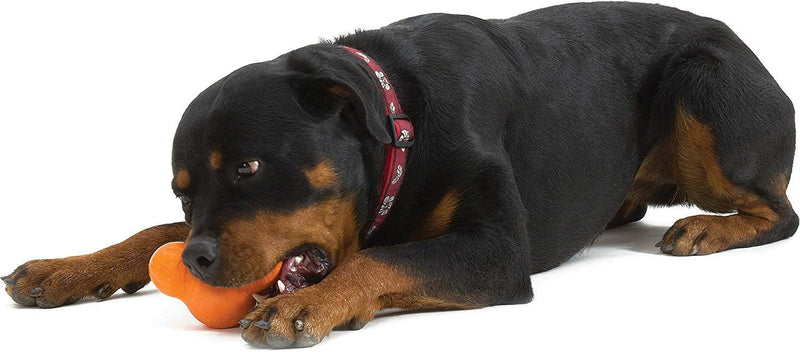 [Australia] - West Paw Zogoflex Tux Treat Dispensing Dog Chew Toy – Interactive Chewing Toys for Dogs – Dog Games for Aggressive Chewers, Fetch, Catch – Holds Kibble, Treats, Made in USA Large Tangerine 
