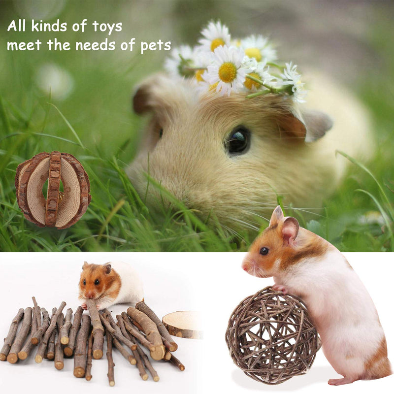 N&A 11 Pack Hamster Chew Toys, Bunny Rabbits Gerbil Rat Guinea Pig Chinchilla Natural Wooden Chew Toys, Dumbbells Exercise Bell Roller Teeth Care Molar Toy Natural Wood Pine Toy Combination Green - PawsPlanet Australia